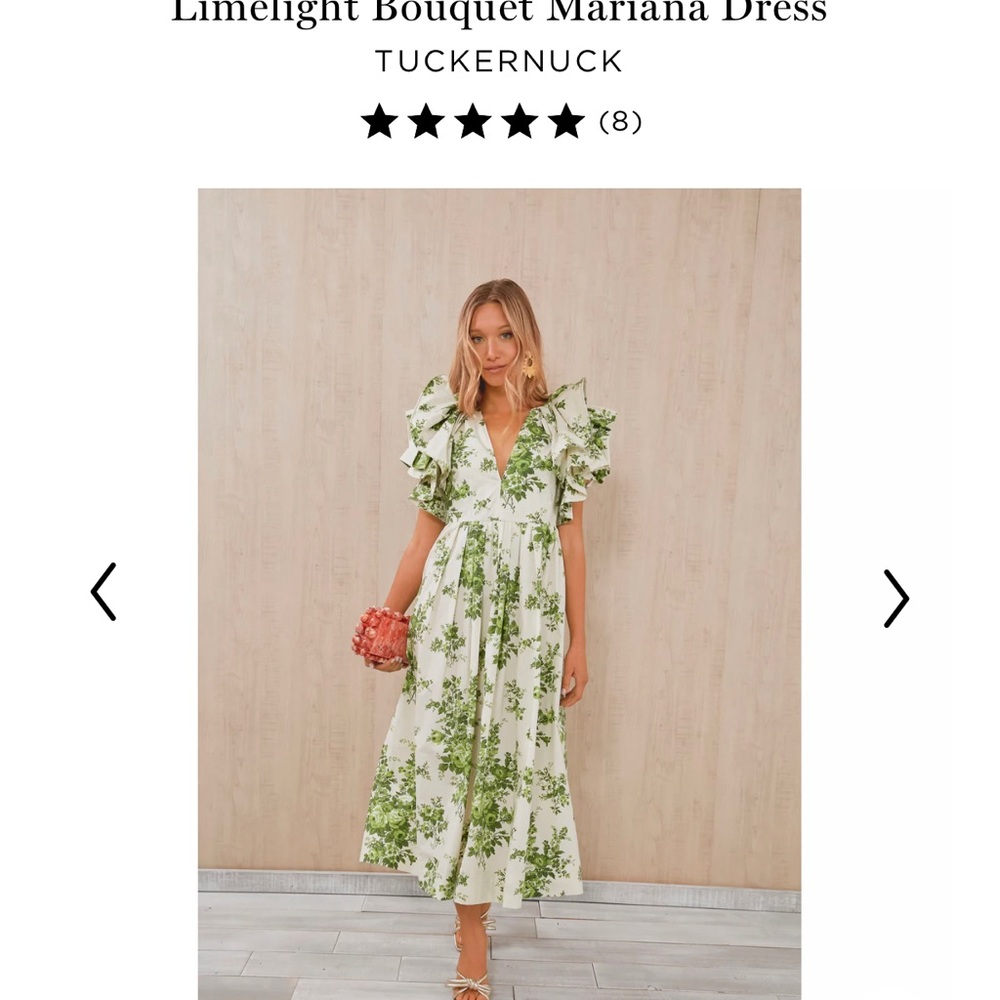 Tuckernuck Limelight Boutique Mariana Dress